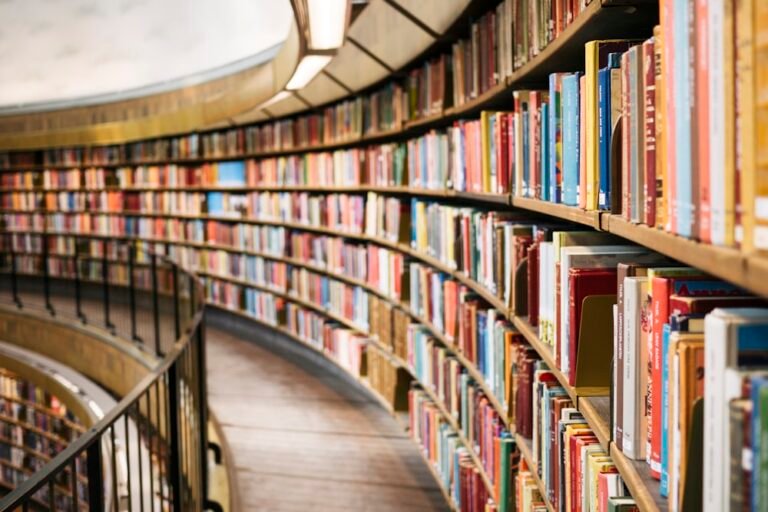 Stacked books on shelves, ebook bundle